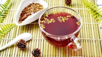 養(yǎng)生相伴，共品二十四節(jié)氣之美